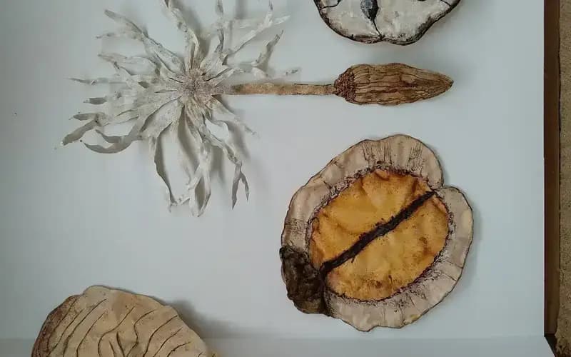 Liz McAuliffe