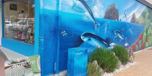 Flying Fish Design Store
