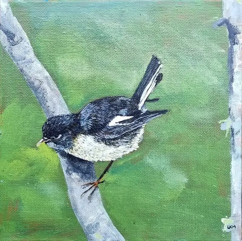 Miromiro - Tomtit