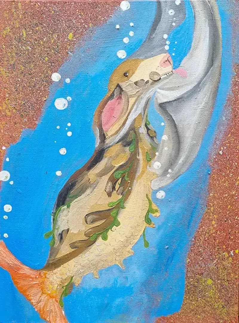Sea Dog