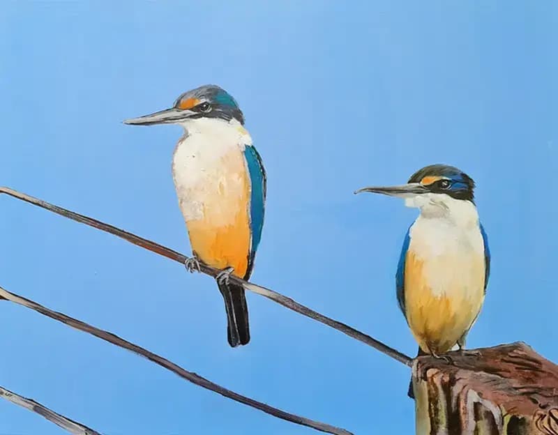 Kotare Couple
