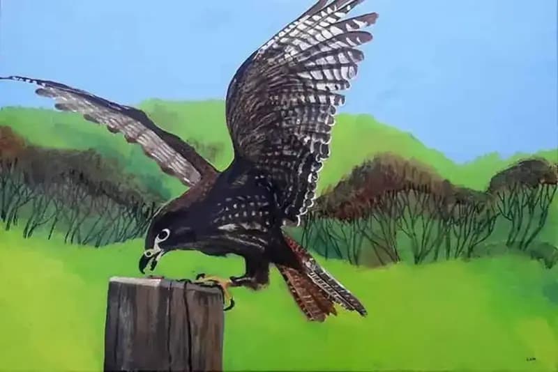 Kahu
