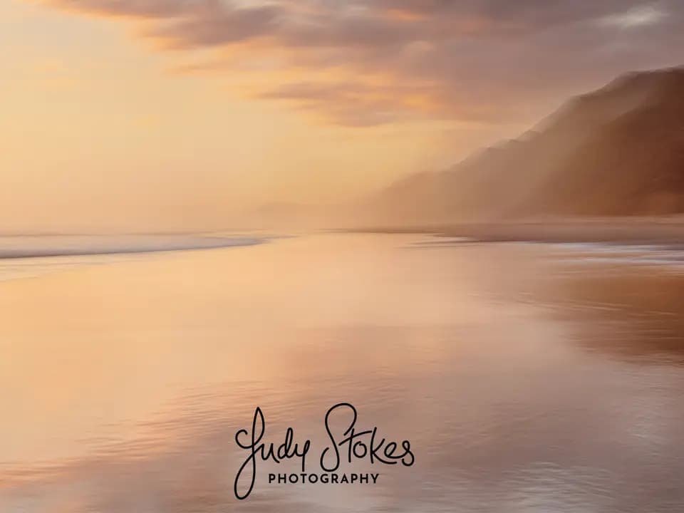 JudyStokesPhotography
