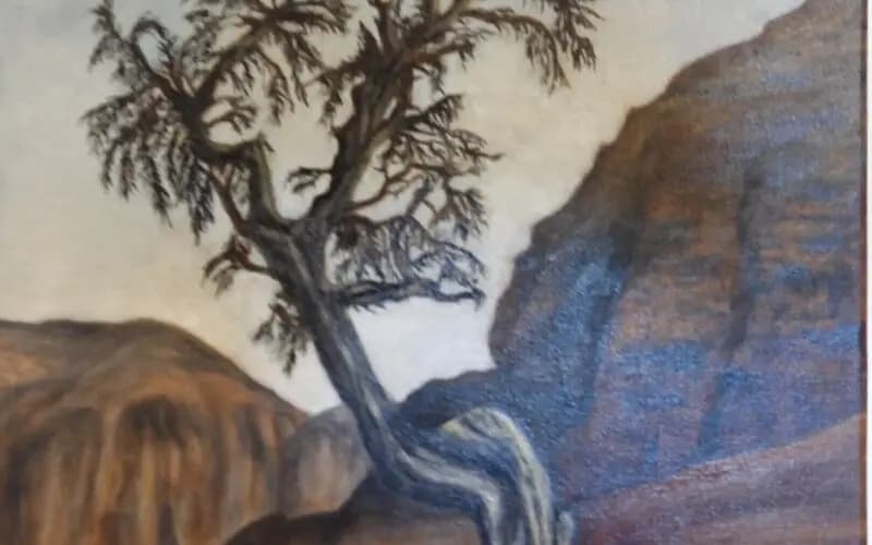 DESERT TREE