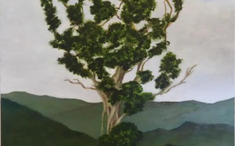 WALKING TREE