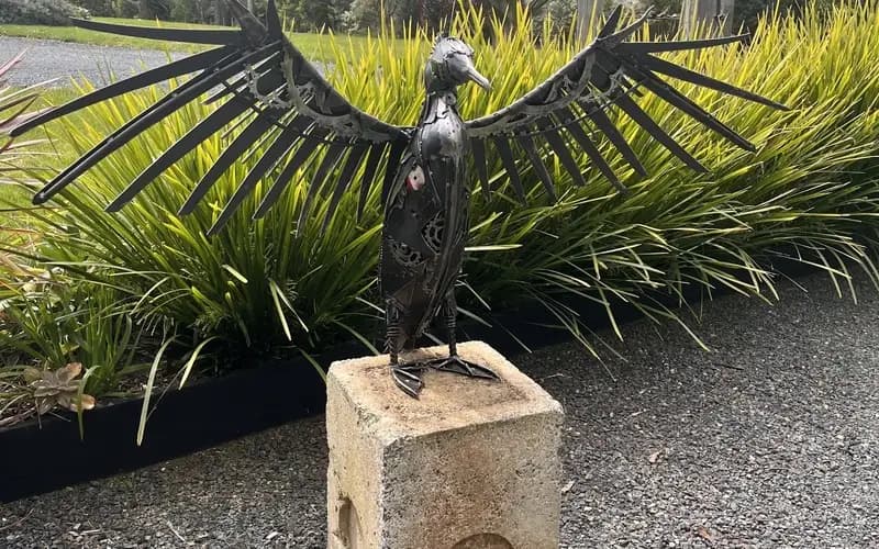 Cormorant