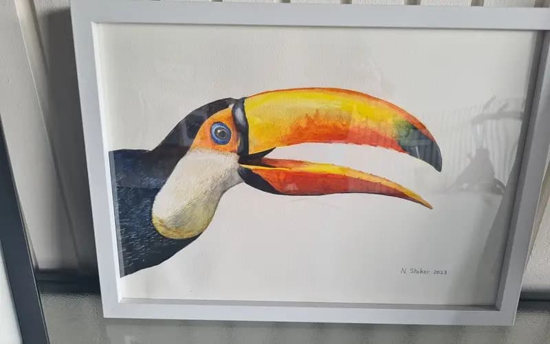 Toucan