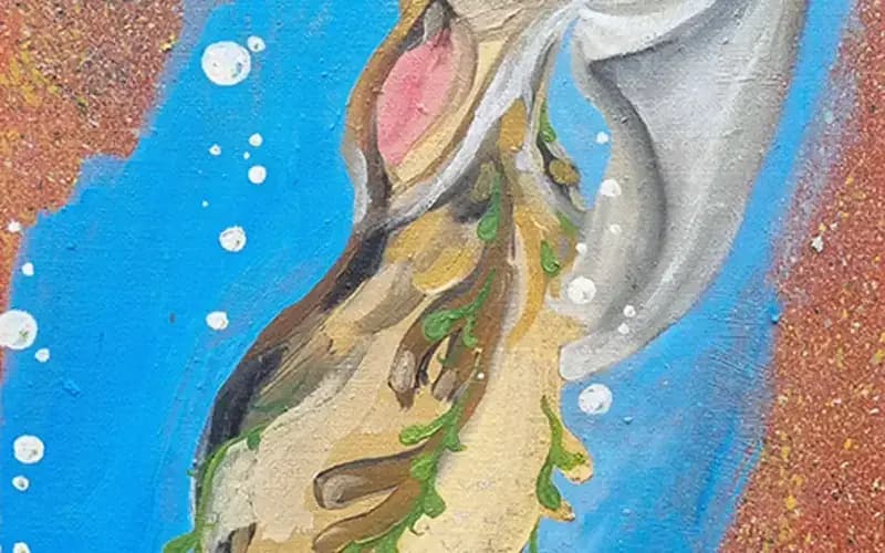 Sea Dog