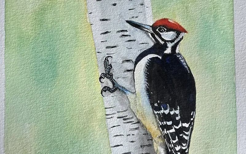 Woodpecker