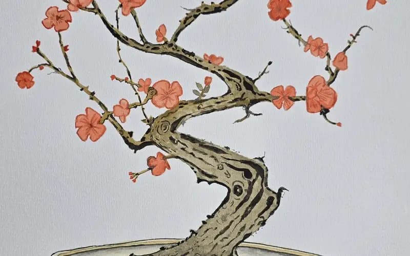 Cherry blossom bonsai