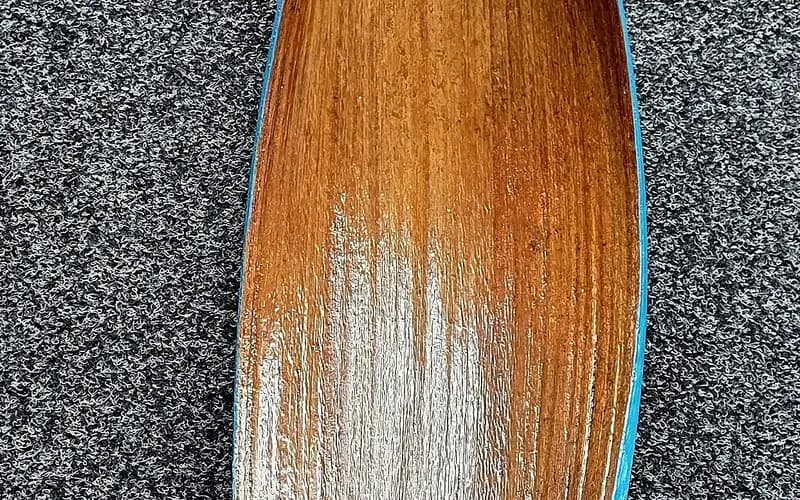 Light blue palm frond/ spate