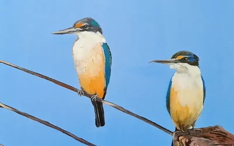Kotare Couple