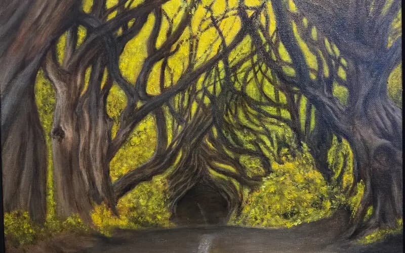 THE DARK HEDGES