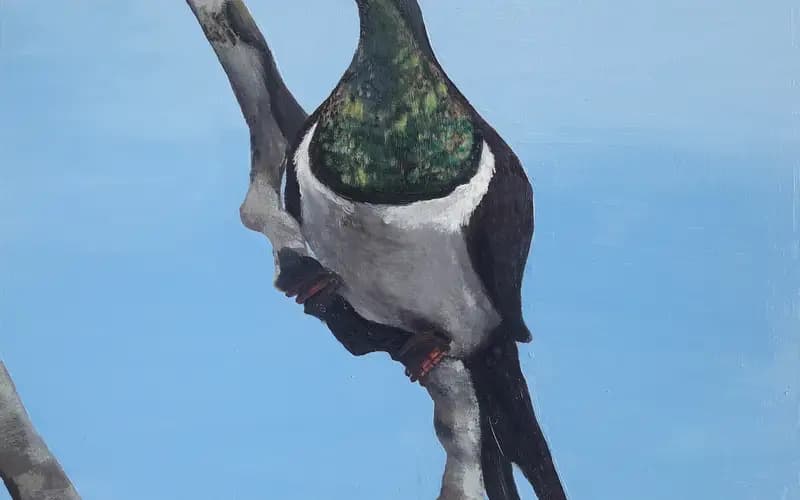 Woodpigeon on a Branch