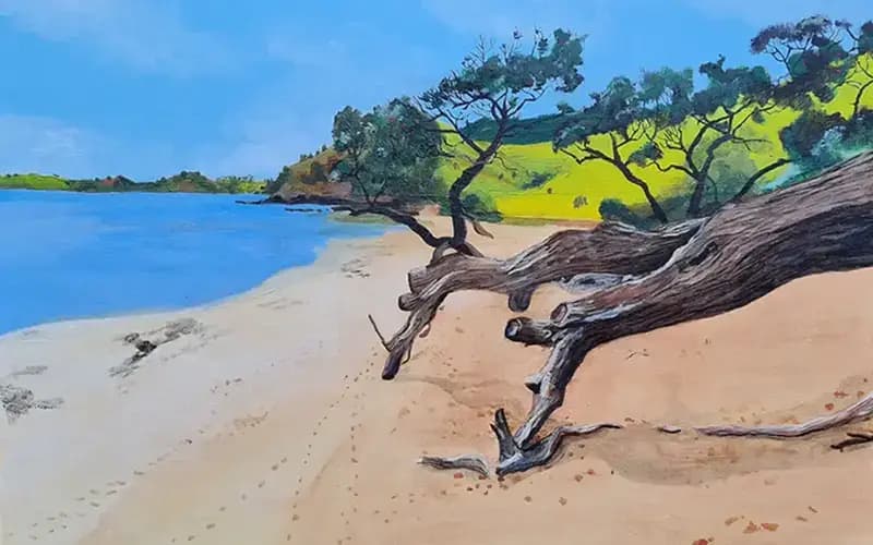 Ngahau Bay