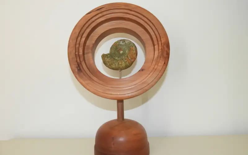 Ammonite
