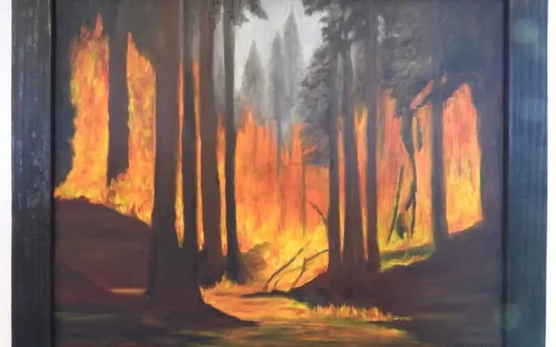 Forest fire no.1