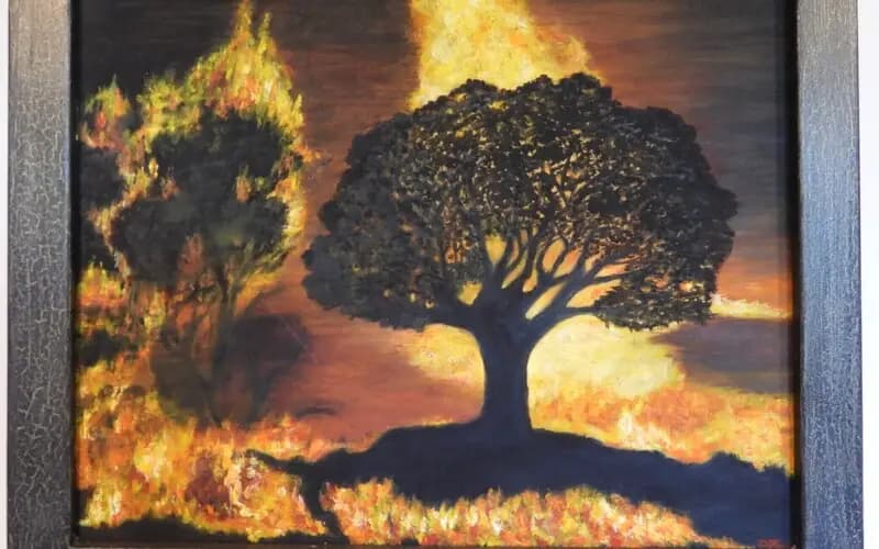 Forest fire no.2